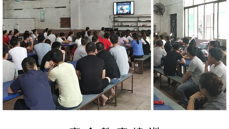 网络课程加盟代理：揭秘行业趋势与选择要点